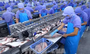 CPTPP sẽ giúp Việt Nam tăng trưởng thêm hơn 2% GDP vào năm 2030