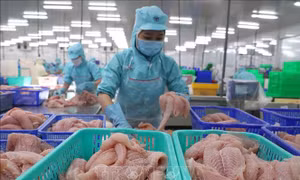 Nâng mục tiêu xuất khẩu nông lâm thủy sản năm 2021 lên 45 tỷ USD