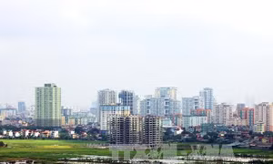 Hà Nội kiên quyết thu hồi các dự án để hoang hóa, vi phạm Luật Đất đai 