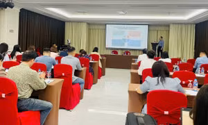 Cơ hội xuất khẩu rau củ quả chính ngạch sang thị trường Trung Quốc 