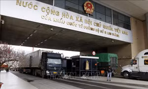 Phát triển cửa khẩu số trong hoạt động xuất nhập khẩu