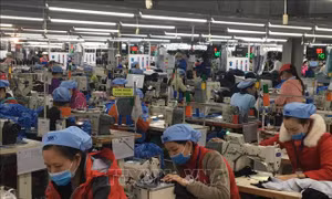 Hợp tác thúc đẩy xanh hóa ngành dệt may Việt Nam