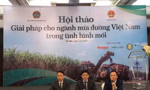 Tạo lập thị trường cạnh tranh công bằng để phát triển ngành mía đường