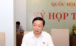 Pháp luật sẽ không bảo vệ những đối tượng người nước ngoài 'núp bóng' mua đất tại Việt Nam