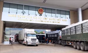  Hỗ trợ tiêu thụ nông sản cần nhất quán từ doanh nghiệp tới địa phương
