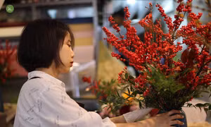 Đào đông đỏ, trâu vàng hàng chục triệu chơi Tết