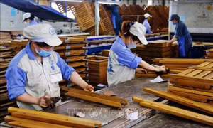 Xuất khẩu gỗ và lâm sản có thêm tháng ‘giảm tốc’, doanh nghiệp giảm đơn hàng Mỹ và EU