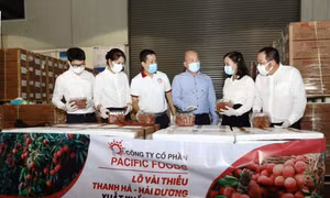 Vải thiều Việt Nam chính thức ‘chinh phục’ thị trường EU