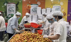 Biến 'nguy' thành 'cơ' để tiêu thụ nông sản giữa tâm dịch COVID-19