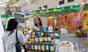 Sản phẩm thủy hải sản tại Hội chợ Mùa Xuân 2026 tạo niềm tin với người tiêu dùng