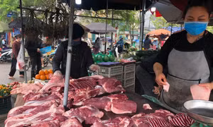 Giá thịt lợn tăng cao trong hai ngày đầu tuần, chưa có dấu hiệu 'giảm nhiệt'