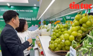 Khai mạc Phòng trưng bày nhân Ngày Phòng chống hàng giả, hàng nhái 