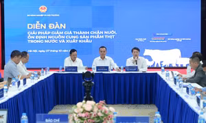 Chìa khóa giảm giá thành chăn nuôi, ổn định nguồn cung thịt
