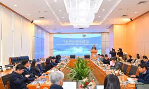 Đẩy mạnh hợp tác đào tạo, nghiên cứu thị trường trong nước và quản lý thị trường