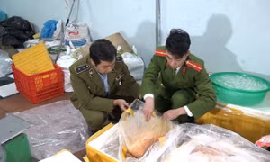 Hàng tấn trứng, thịt vịt không đảm bảo chất lượng bị thu giữ tại Hà Nội