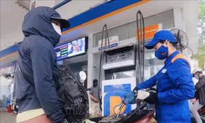 Petrolimex sẽ trình Đại hội cổ đông tỷ lệ cổ tức 30% cho năm 2019