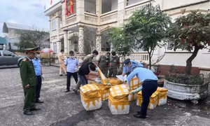 Ngăn chặn gần 1 tấn sản phẩm động vật không đảm bảo yêu cầu vệ sinh thú y 