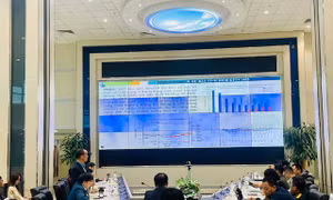 Dự báo thời tiết Tết Nguyên đán 2025