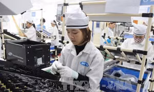 Bảy tháng, xuất siêu 1,8 tỷ USD