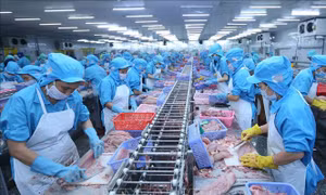 Bloomberg: Việt Nam hưởng nhiều lợi ích trong cuộc xung đột thương mại Mỹ - Trung 