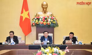 Uỷ ban Thường vụ Quốc hội bổ sung 4 dự án luật cho năm 2024