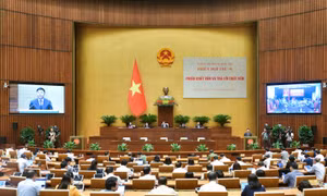 Đại biểu ‘truy’ trách nhiệm của Chính phủ trong việc liên tục sửa đổi luật