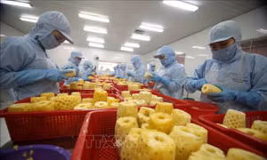 Khơi thông thị trường xuất khẩu