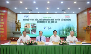 Phát triển nguyên liệu bền vững đưa Việt Nam thành trung tâm chế biến gỗ xanh