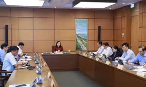 Đại biểu Quốc hội băn khoăn về 'lãng phí' điện năng lượng tái tạo 