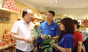 Khai mạc 'Lạng Sơn Corner' tại Hà Nội, kết nối tiêu dùng và mở rộng thị trường
