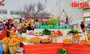 Không gian văn hóa truyền thống và sản phẩm đặc trưng thu hút khách tại Hội chợ Mùa Xuân 2026