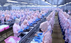 Những rủi ro doanh nghiệp xuất khẩu thủy sản cần lưu trước xung đột Trung Đông