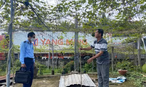 Giám sát 5 cửa hàng bán lẻ xăng dầu bị phản ánh ngưng bán hàng