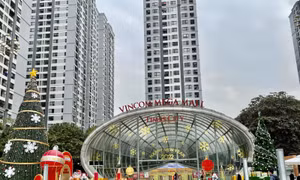 Phố phường Hà Nội rực rỡ đón Giáng sinh