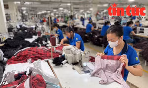 Cước vận tải tăng cao, doanh nghiệp xuất khẩu nỗ lực ứng phó
