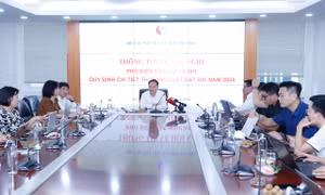 Bộ Tài nguyên và Môi trường thông tin về kiểm tra đấu giá đất tại Hoài Đức, Thanh Oai
