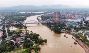 Ảnh hưởng bão số 4: Mực nước sông Cầu tại Trạm Đáp Cầu vượt báo động II