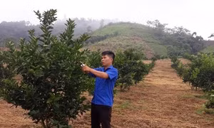 Chàng trai dân tộc Mường hiến đất làm đường