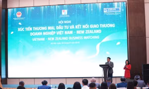 Xúc tiến thương mại, đầu tư và kết nối giao thương Việt Nam - New Zealand