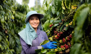 Kinh tế tuần hoàn là động lực chuyển đổi xanh 