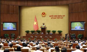 Cần quan tâm đến vấn đề xây dựng nông thôn mới trong quá trình đô thị hóa