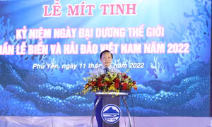 Chung tay hành động hồi sinh đại dương, phục hồi các hệ sinh thái biển