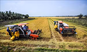 Thành lập Hội đồng điều phối vùng đồng bằng sông Cửu Long giai đoạn 2020-2025