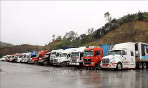 Nông sản tồn ở các cửa khẩu đang giảm dần