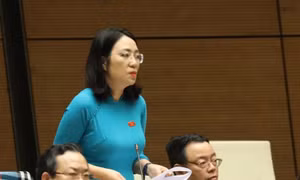 Đại biểu Quốc hội yêu cầu làm rõ trách nhiệm trong sai sót của bộ sách giáo khoa lớp 1