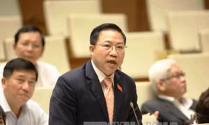 Xác minh kê khai tài sản không chỉ nên giao cho cơ quan thanh tra