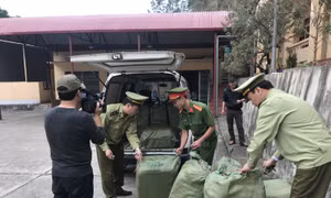 Thu giữ 600 kg nầm lợn bốc mùi hôi thối có nguồn gốc từ Trung Quốc
