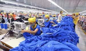 EVFTA là cơ hội cho kinh tế Việt Nam bật trở lại sau đại dịch