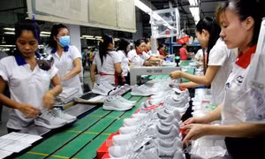 Thủy sản, da giày chuẩn bị vào 'sân chơi' EVFTA 
