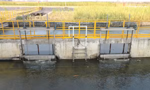 Quy định về đánh giá sơ bộ tác động môi trường
